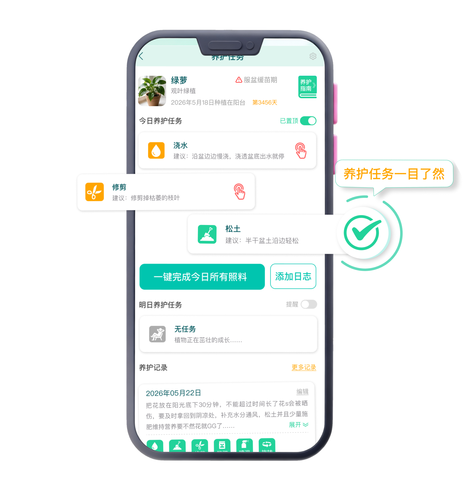 养护任务